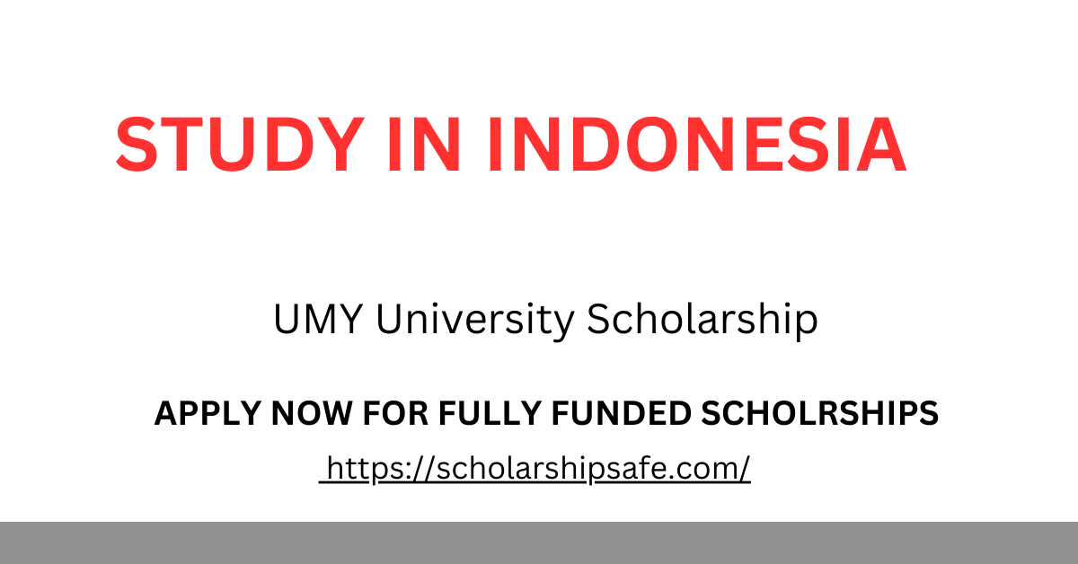 UMY University Scholarship