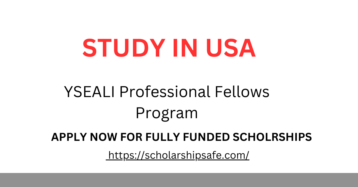 YSEALI Professional Fellows Program