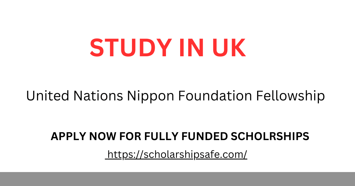 United Nations Nippon Foundation Fellowship