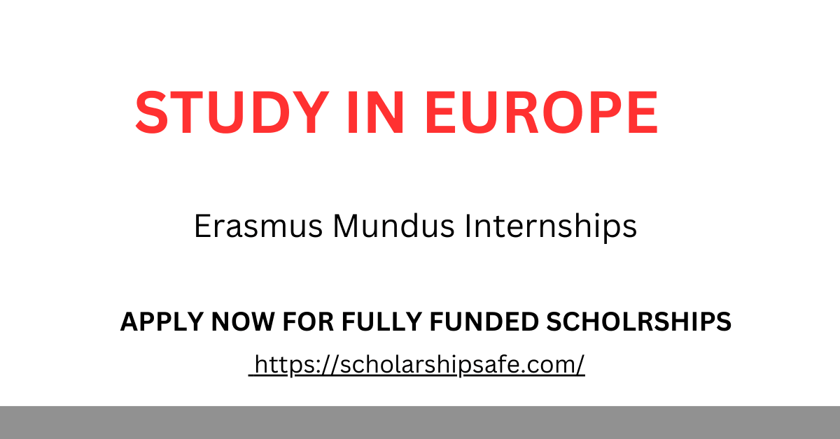 Erasmus Mundus Internships