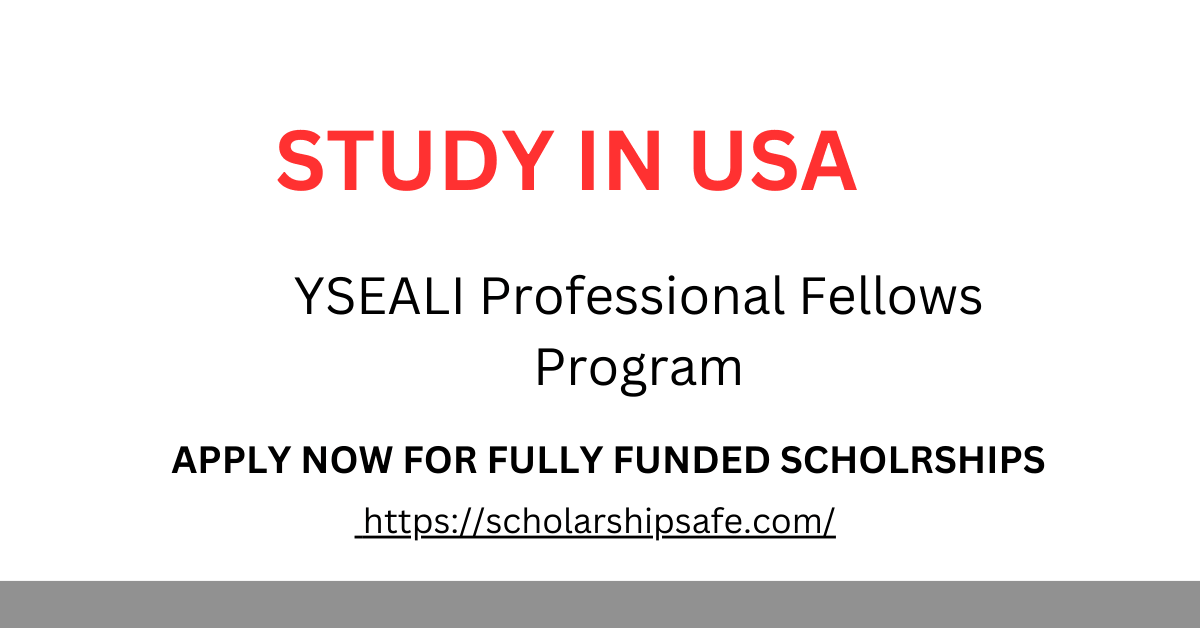 YSEALI Professional Fellows Program