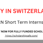 CERN Short Term Internship 2024 in Switzerland | Paid Internship in Europe