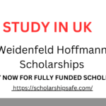 Weidenfeld Hoffmann Scholarships 2025 | Fully Funded | Study in the UK