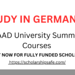 DAAD University Summer Courses 2025 in Germany (Fully Funded)