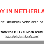 Eric Bleumink Scholarships at University of Groningen 2025