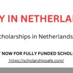 Scholarships in Netherlands for International Students 2025