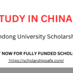 Shandong University Scholarship 2025 (Fully Funded)