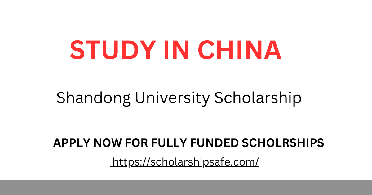 Shandong University Scholarship